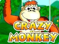 Crazy Monkey